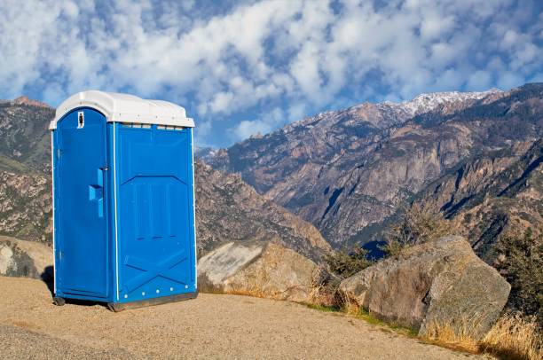 Best Sanitation services for porta potties  in Richton Park, IL